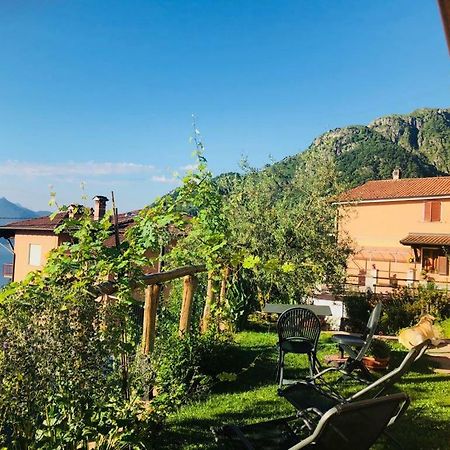 Agriturismo Botton D'Oro Dongo Ngoại thất bức ảnh