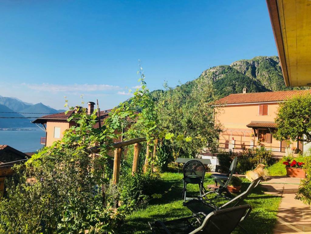 Agriturismo Botton D'Oro Dongo Ngoại thất bức ảnh